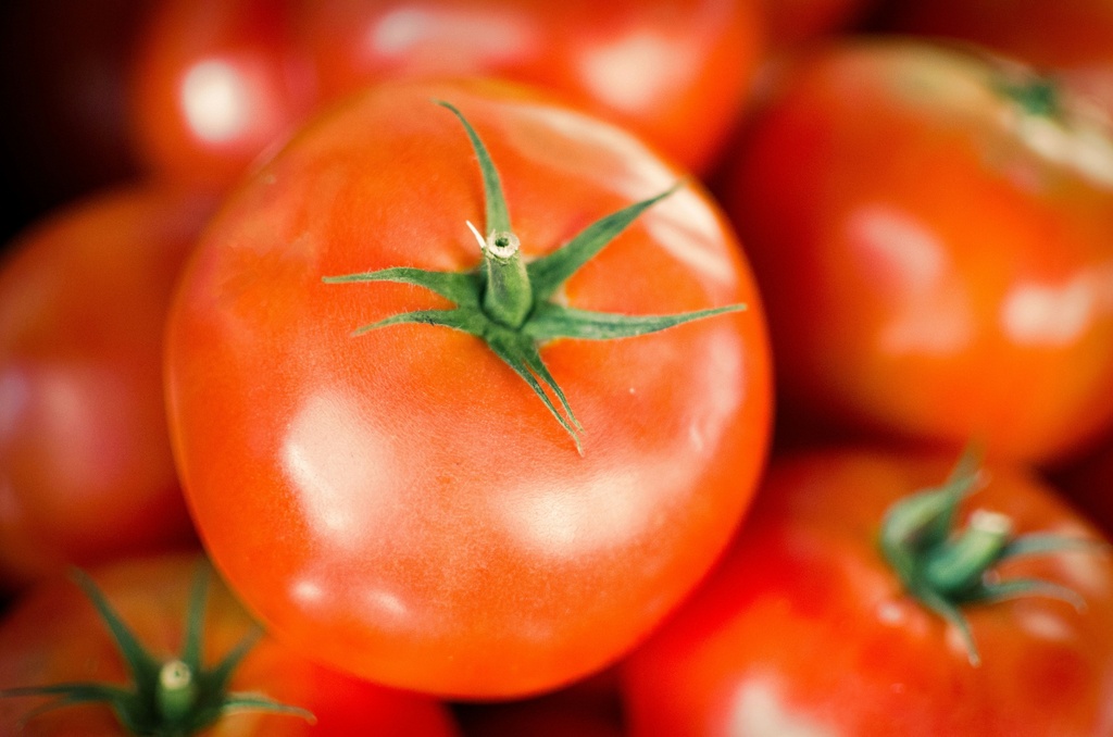  Extrait de tomate 10 %