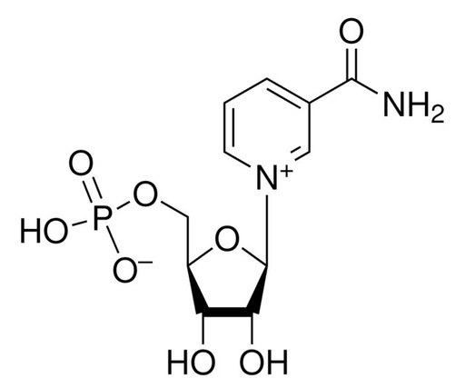 [AINMN] β-Nicotinamide mononucléotide (NMN)