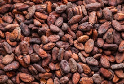 [FVCAO] Fèves de Cacao cru BIO